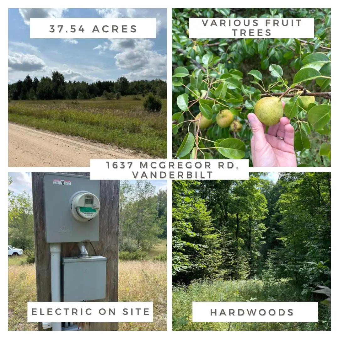 1637 Mcgregor Road, Vanderbilt, MI 49795 - #1