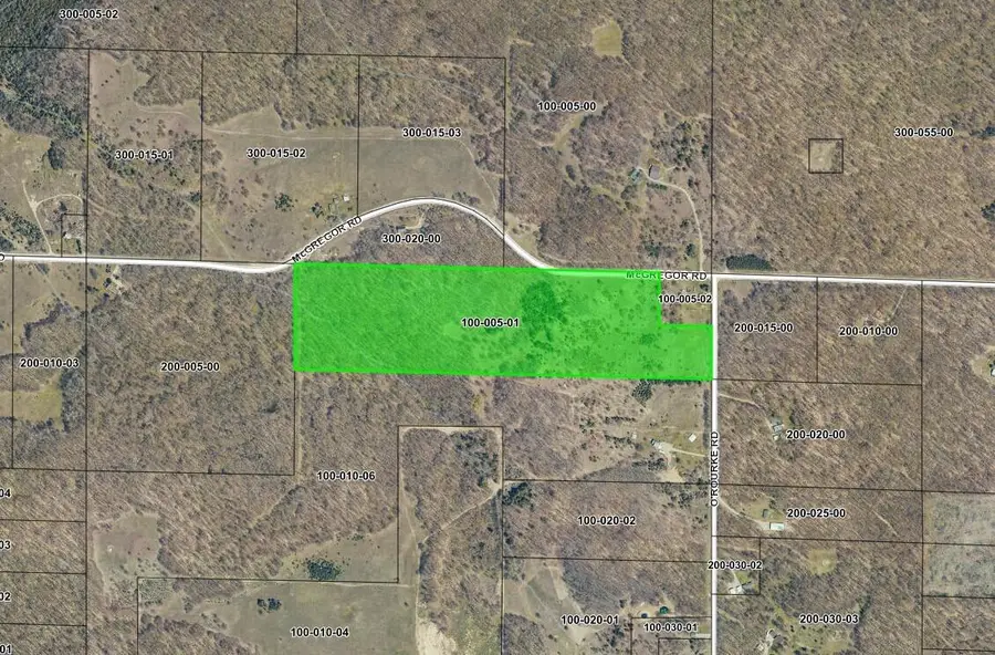 1637 Mcgregor Road, Vanderbilt, MI 49795 - #2