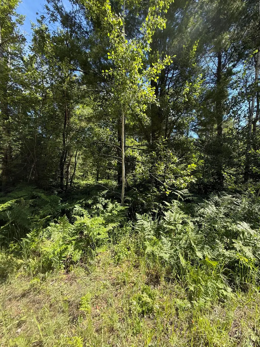 v/l 83&84 Okemos Trail, Gaylord, MI 49735 - #3