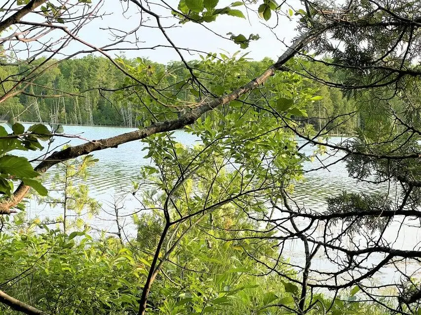 5829 Krouse Road, Cheboygan, MI 49721 - #1