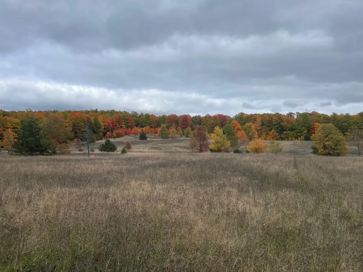 V/L 120 AC Holiday Rd, Wolverine, MI 49799 - #1