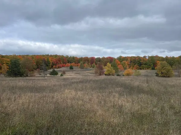 V/L 120 AC Holiday Rd, Wolverine, MI 49799