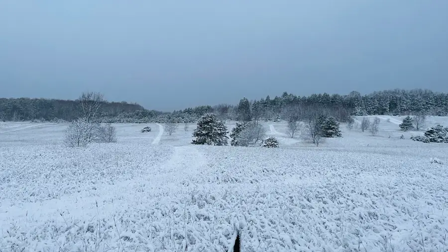 V/L 120 AC Holiday Rd, Wolverine, MI 49799 - #3