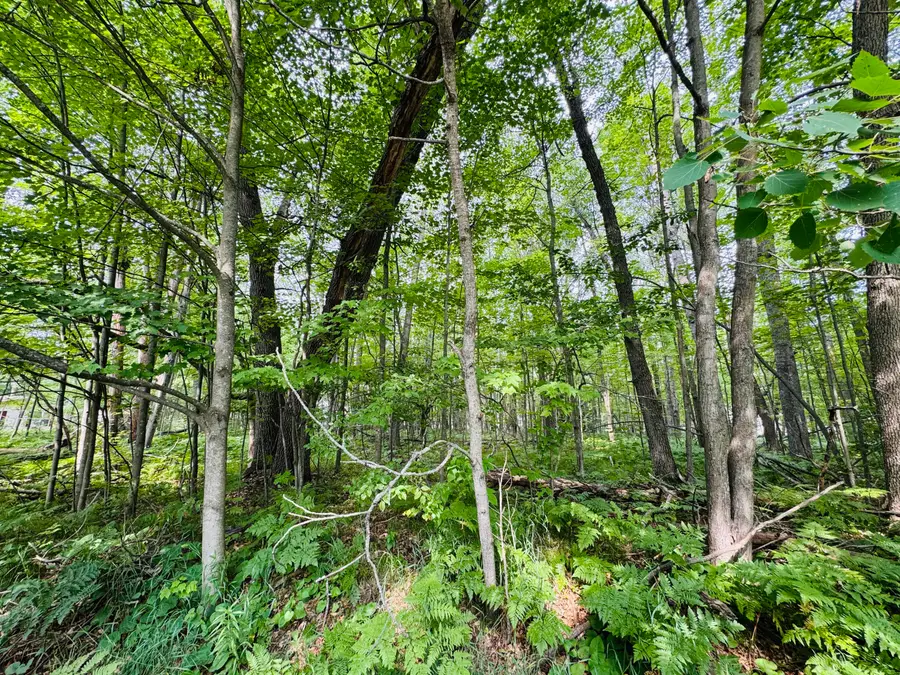 Lot 254 Goldenrod Drive, Houghton Lake, MI 48629 - #3