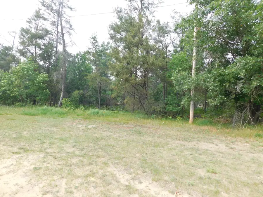 2328 S Horseshoe Trail, Grayling, MI 49738 - #2