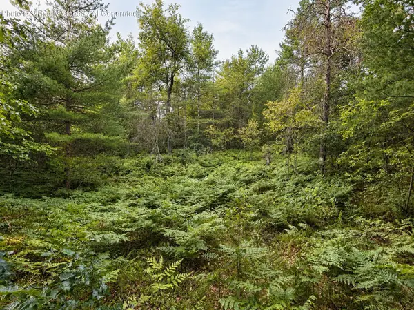 10 Acres Bear Lake Road, Johannesburg, MI 49751