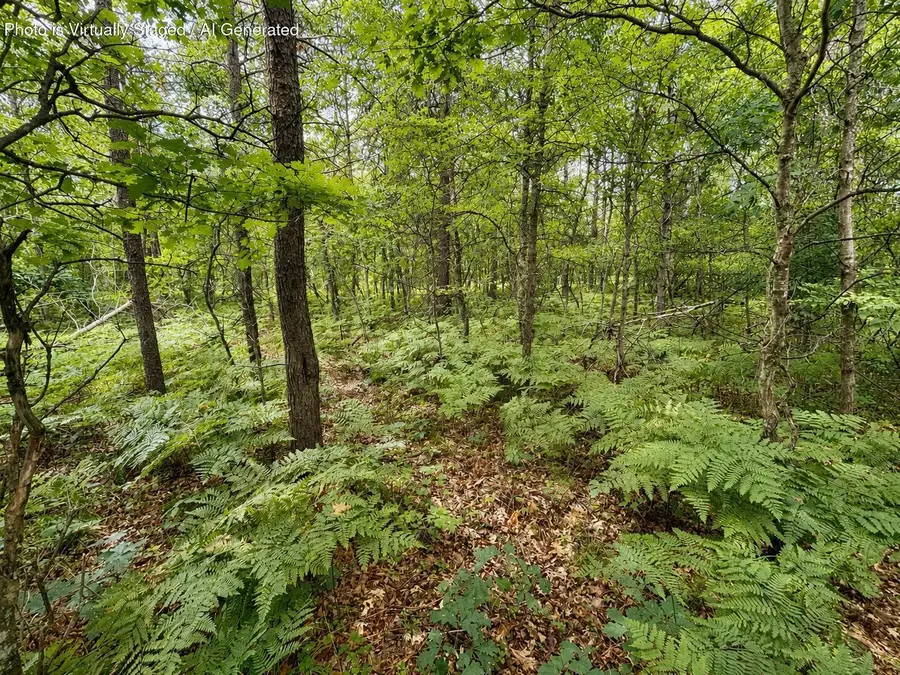 10 Acres Bear Lake Road, Johannesburg, MI 49751 - #3