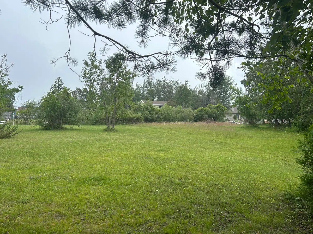 132 Channel Road, Alpena, MI 49707 - #1