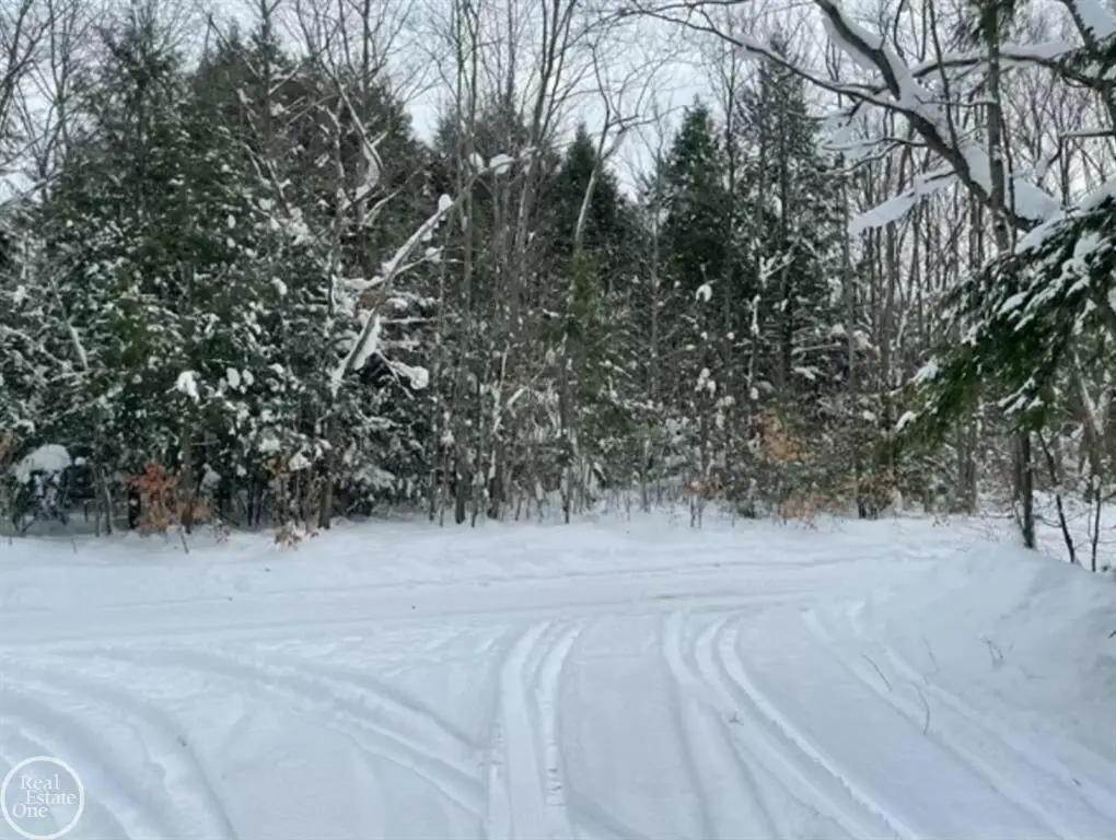 10 acres Kenyon Trail, Frederic, MI 49733 - #1