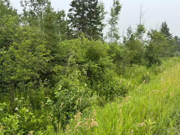 V/L 1 AC Page Road, Cheboygan, MI 49721