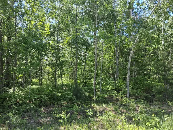 Pineview Drive, Mancelona, MI 49659