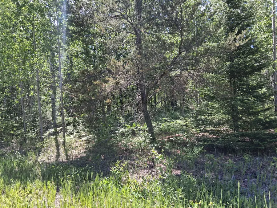 Pineview Drive, Mancelona, MI 49659 - #3