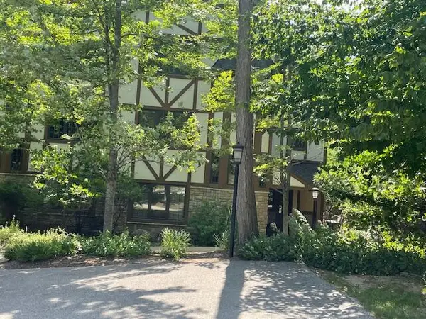1157 N Peak Pass, Harbor Springs, MI 49740