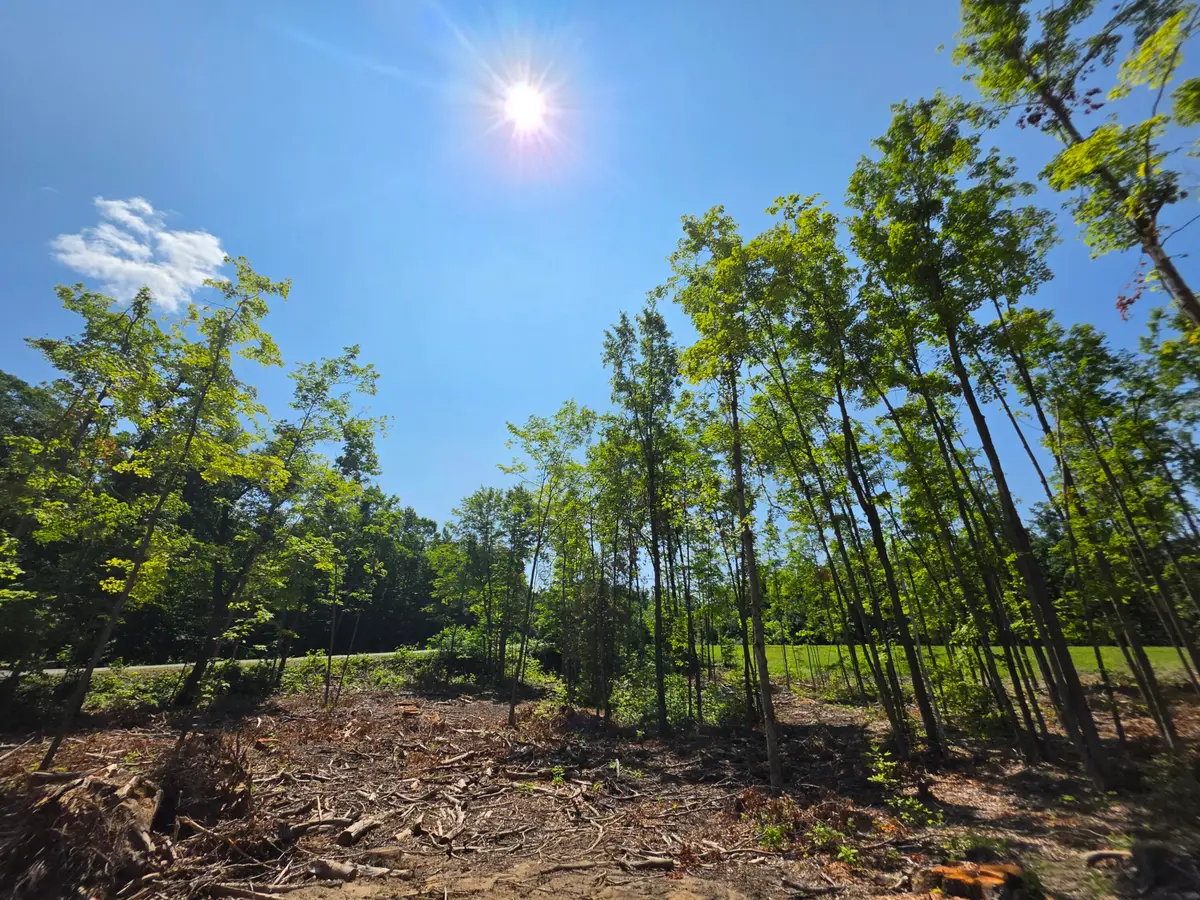Rogers & M72 Road, Fairview, MI 48621 - #1