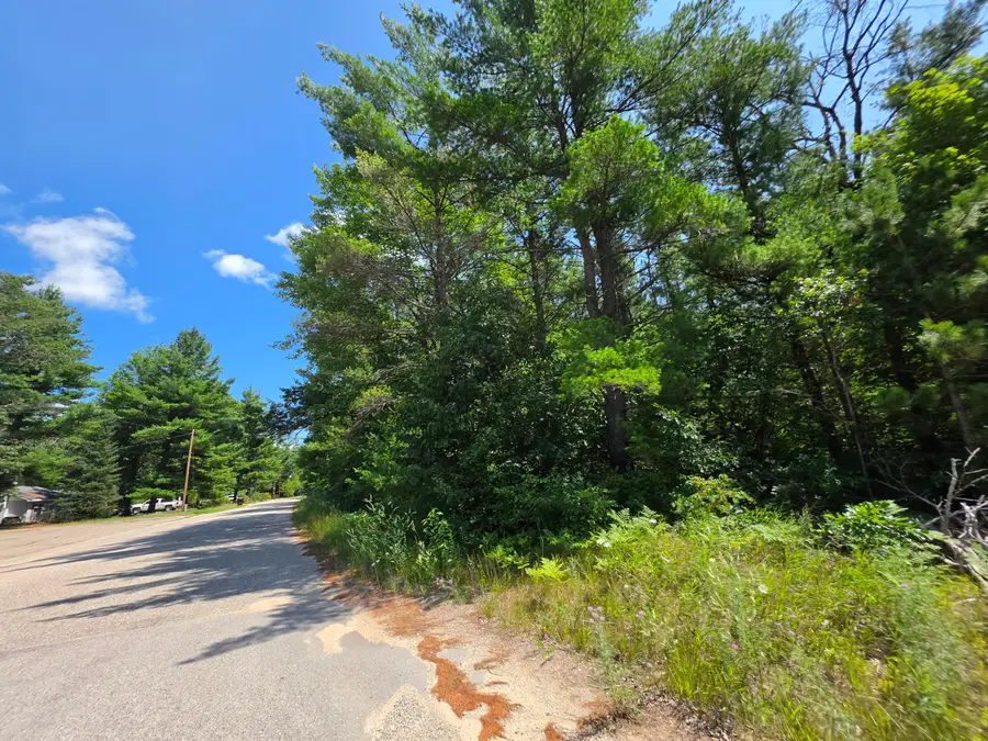Lots 14-16 N Mount Tom Road, Mio, MI 48647 - #3