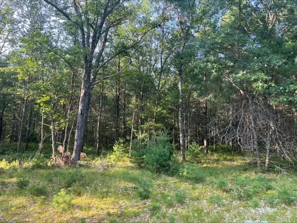 0 Mackenzie Road, Oscoda, MI 48750