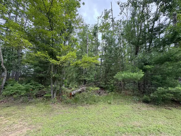 V/L Long Lake Road, Hillman, MI 49746