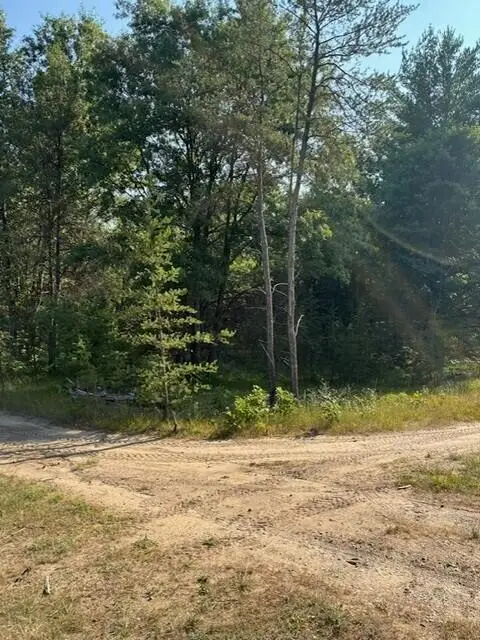 1642 Muskegon Road, Harrison, MI 48625 - #3
