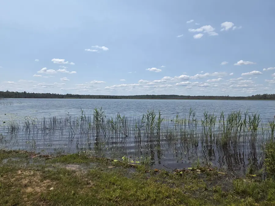 6293 Darga Road, Millersburg, MI 49759 - #3