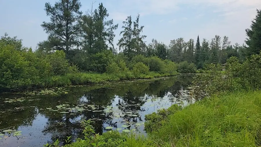 Juniper Way, Grayling, MI 49738 - #2