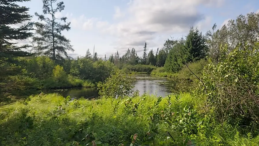 Juniper Way, Grayling, MI 49738 - #3
