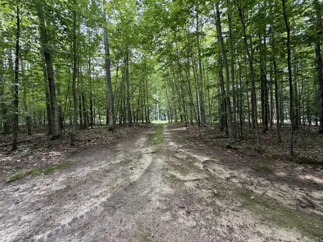 6700 Park Drive, Kalkaska, MI 49646 - #2