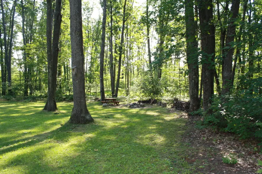 1950 Taylor Road, Lincoln, MI 48742 - #3