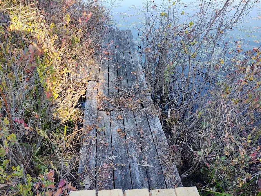 Lot 1 Lake May Road, Hawks, MI 49743 - #3