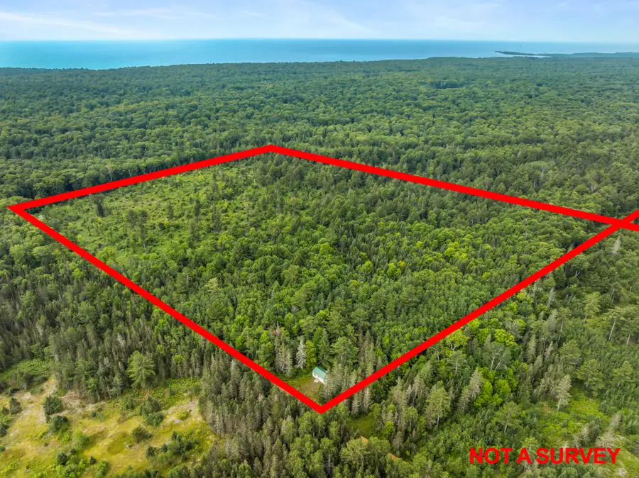 5206 N Prout Road, Naubinway, MI 49762 - #3