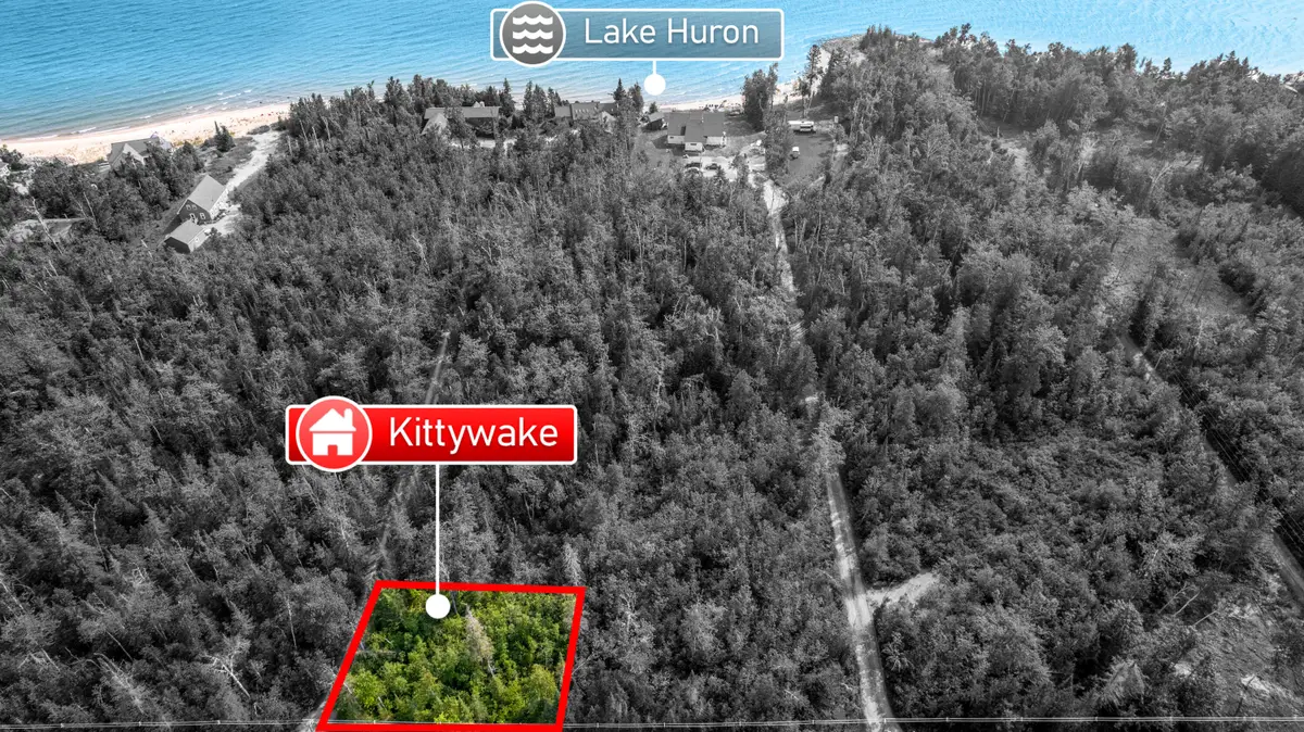 V/L Kittywake Lane, Ocqueoc, MI 49759 - #1