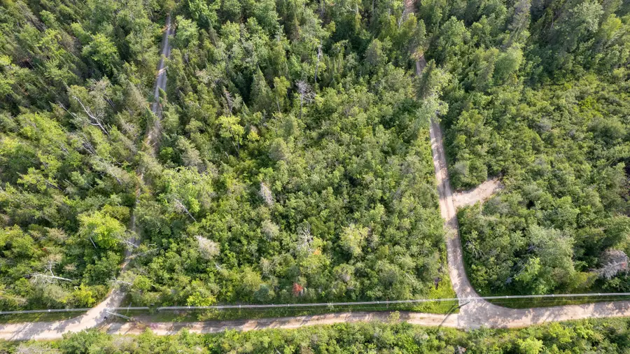 V/L Kittywake Lane, Ocqueoc, MI 49759 - #3