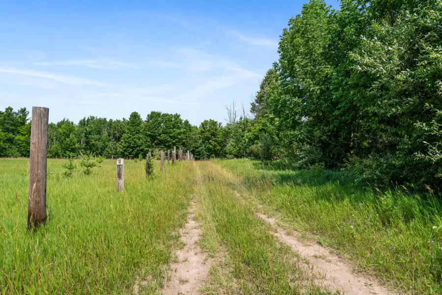 10695 Hutchinson Highway, Onaway, MI 49765 - #3