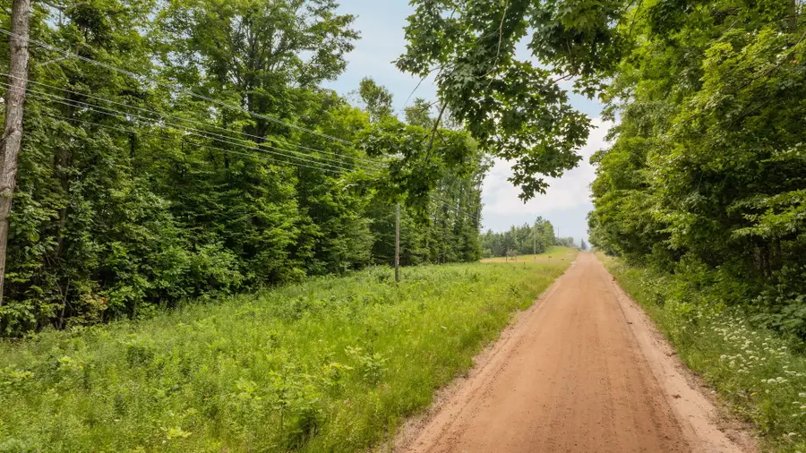 Dunham Road, Vanderbilt, MI 49795 - #3