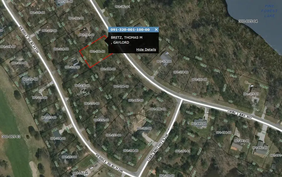Lot 1100 Opal Lake Road, Gaylord, MI 49735 - #2