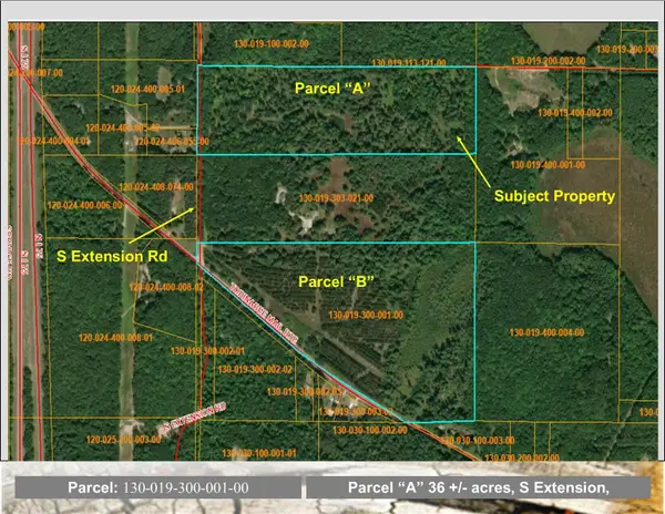 36+/-ACRES S Extension Road, Topinabee, MI 49791