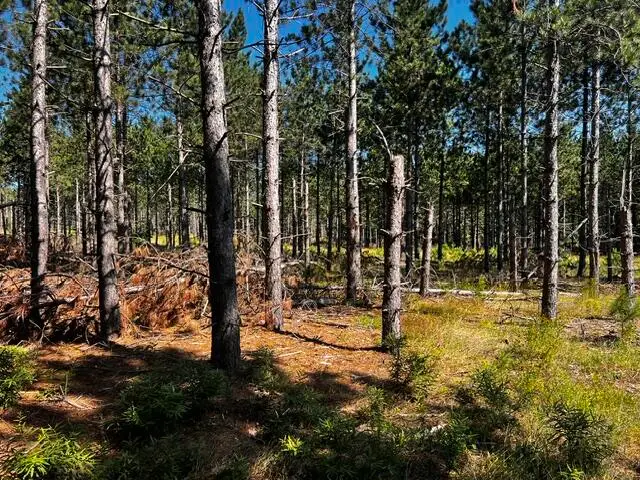 51+/-Acres Topinabee Mail Rte/s Extension Road, Topinabee, MI 49791 - #3