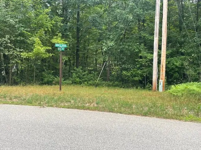 V/L 536 Dover Drive, Roscommon, MI 48653 - #1