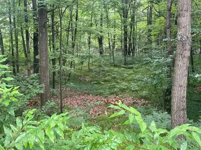 V/L 536 Dover Drive, Roscommon, MI 48653 - #3