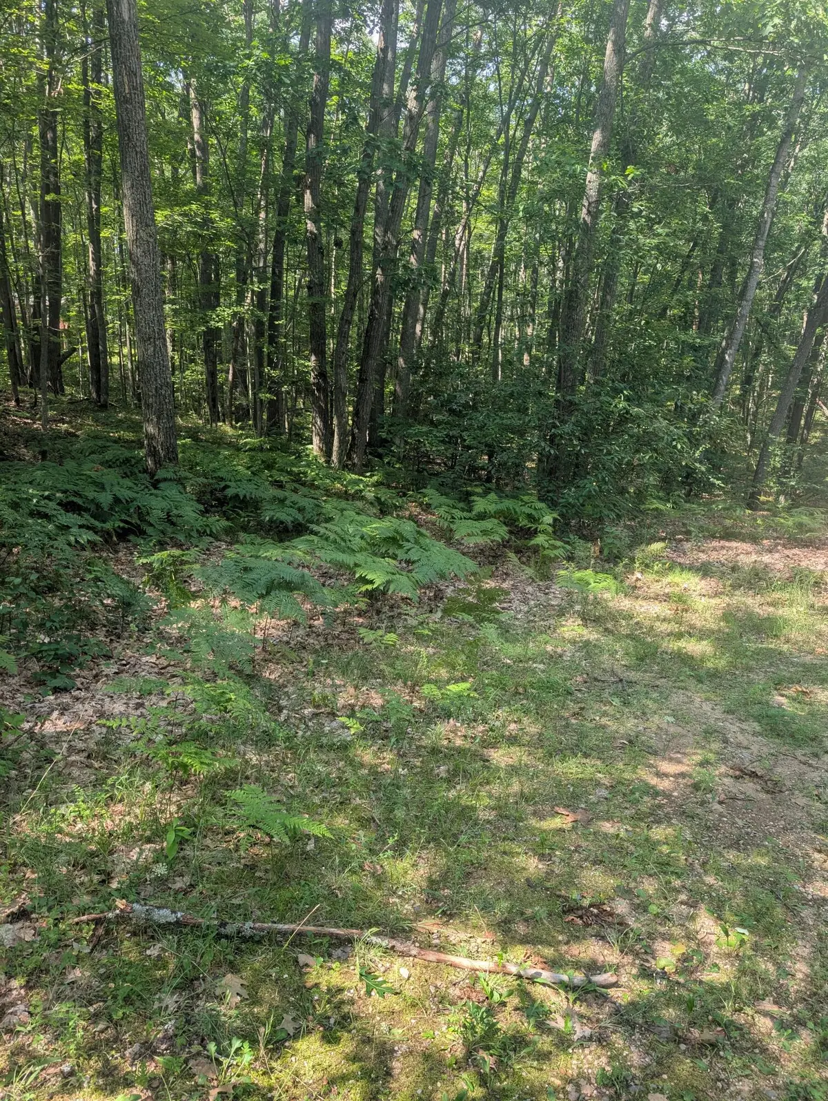 Lot 8-12 Adams Boulevard, Roscommon, MI 48653 - #1