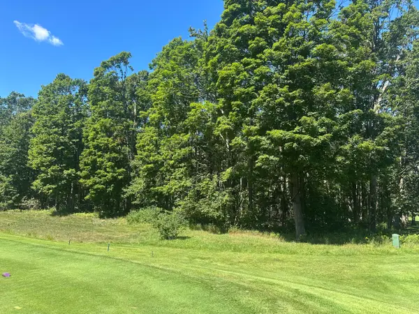 863 Aronimink Drive, Harbor Springs, MI 49740