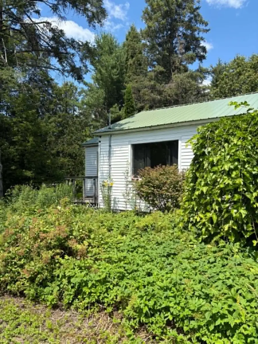 7297 M-33, Onaway, MI 49765 - #2