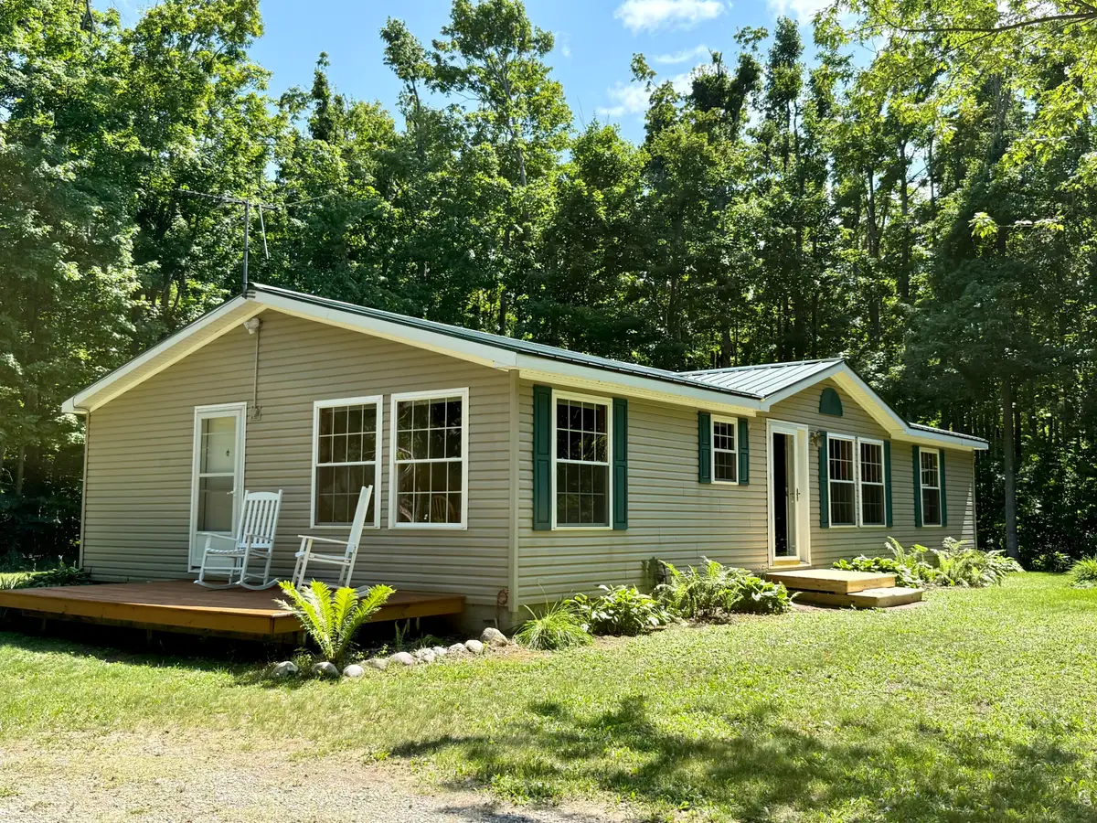 11263 Wilderness Trail, Vanderbilt, MI 49795 - #1