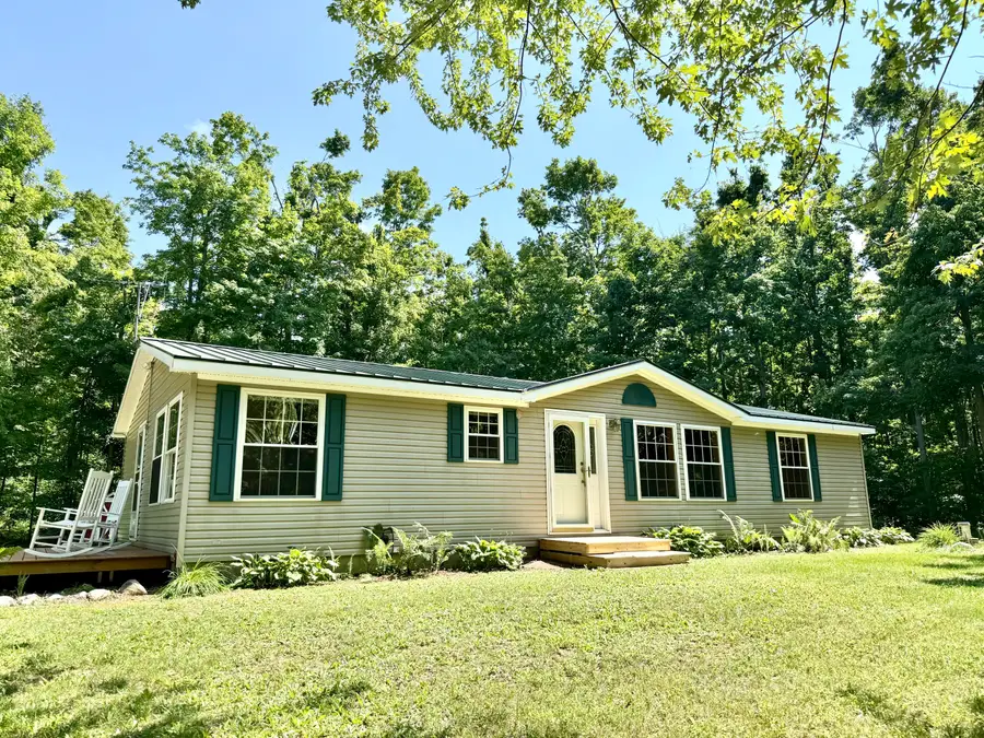 11263 Wilderness Trail, Vanderbilt, MI 49795 - #2