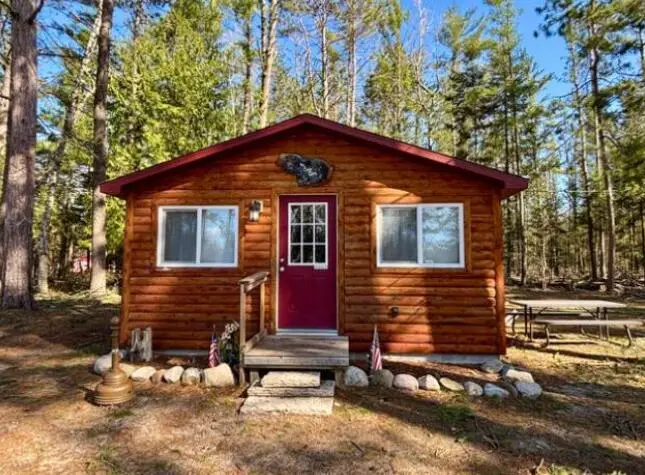9940 Peninsula Drive, Onaway, MI 49765 - #1
