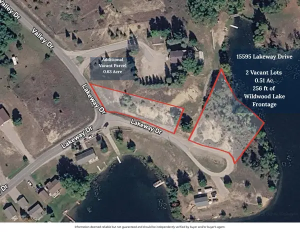 15595 Lakeway Drive, Wolverine, MI 49799