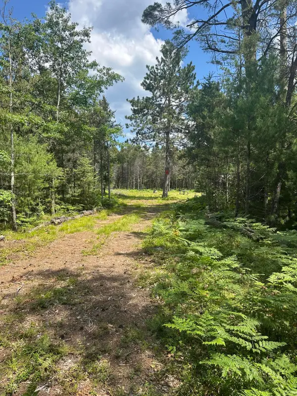 V/L 4.2AC N Spite Avenue, Grayling, MI 49738