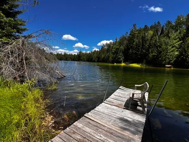 14703 E Shoreline Drive, Wolverine, MI 49799 - #1