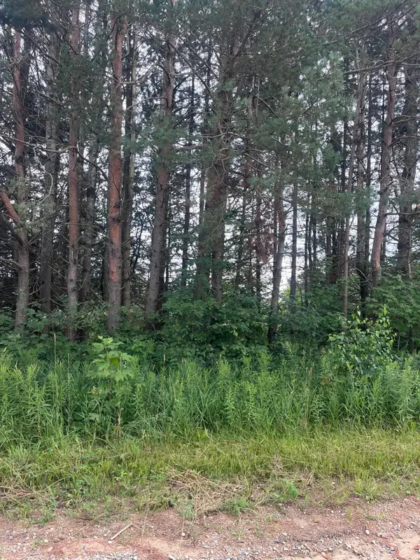Lot 85 Valleyway Drive, Elmira, MI 49730