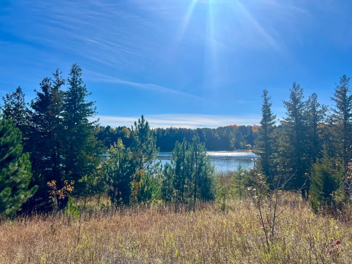 Lot 34 M-32, Atlanta, MI 49709 - #1