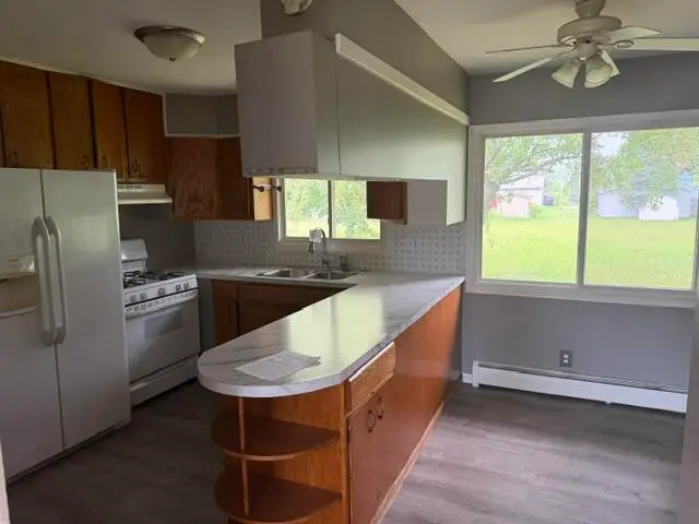 411 E Calhoun Street, Mancelona, MI 49659 - #3